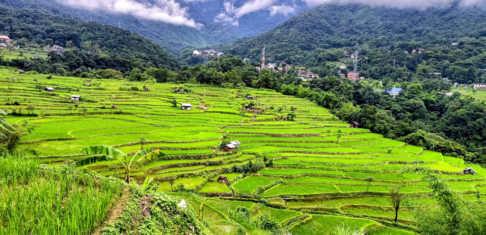 Study explores indigenous knowledge behind Angami terrace farming