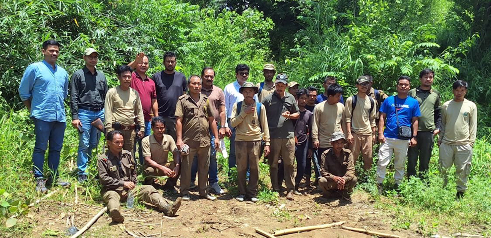 Forest team missing near Assam-Nagaland border