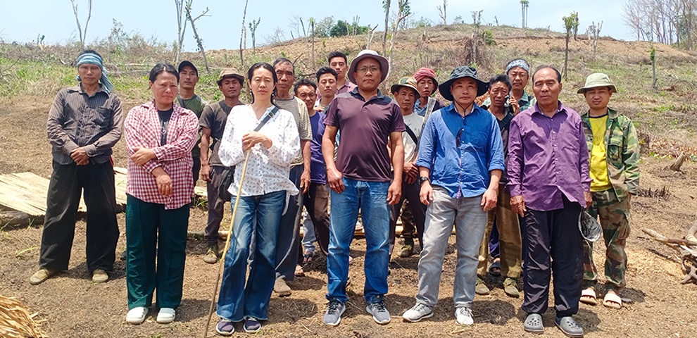 Longkhum tomato farmers report better harvest despite erratic rains kvk nabard