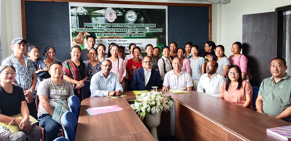 Nagaland University project helps women SHGs earn over Rs 30 lakh through backyard poultry