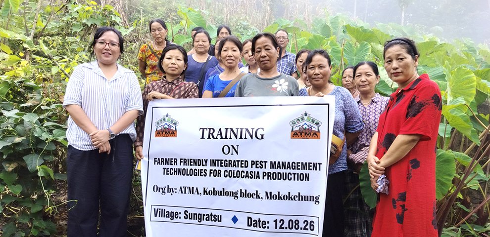 ATMA Kobulong block inaugurates farm school on sustainable colocasia production
