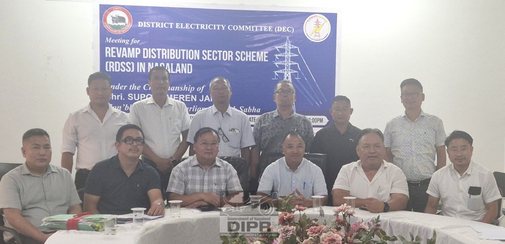 Dimapur electricity committee reviews