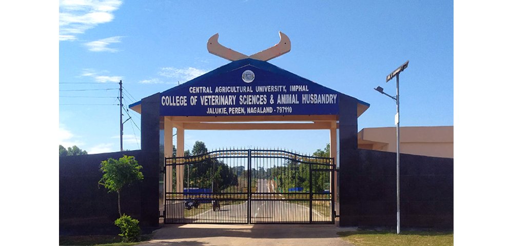 MP Supongmeren Jamir seeks Centre’s support to upgrade veterinary college in Jalukie