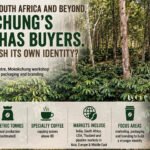 From India to South Africa and beyond, Mokokchung’s coffee has buyers. Can it establish its own identity? Mokokchung Coffee ODOP
