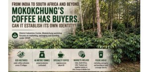 From India to South Africa and beyond, Mokokchung’s coffee has buyers. Can it establish its own identity?