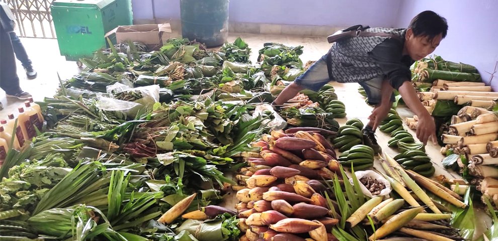 Study maps economic value of 47 Non-Timber Forest Products in Nagaland and Meghalaya