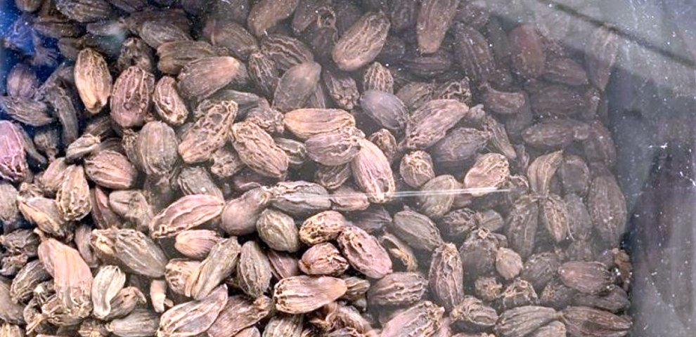 cardamom nagaland