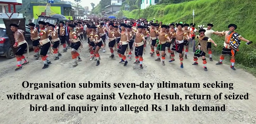 A Great Barbet, a wildlife case and Article 371A CCYO marches in Pfutsero over Forest Department action