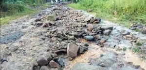 Mokokchung: Flash flood hits Mangkolemba