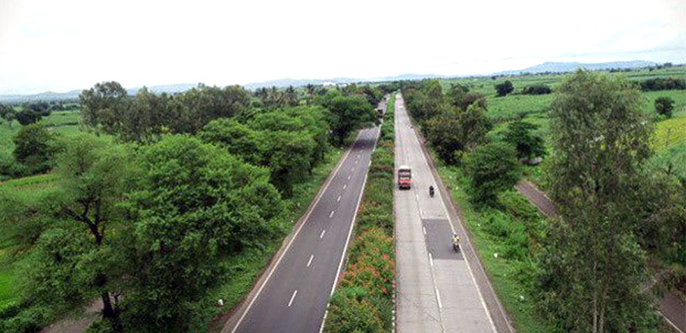 No trees, no completion certificate: NHAI tightens plantation norms for highway projects