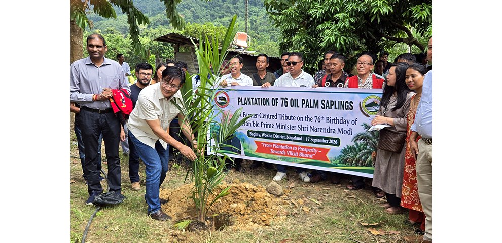 Nagaland targets 15,000 hectares for oil palm cultivation