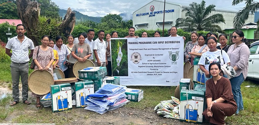 Training on integrated pest and disease management of sesame held at Niuland
