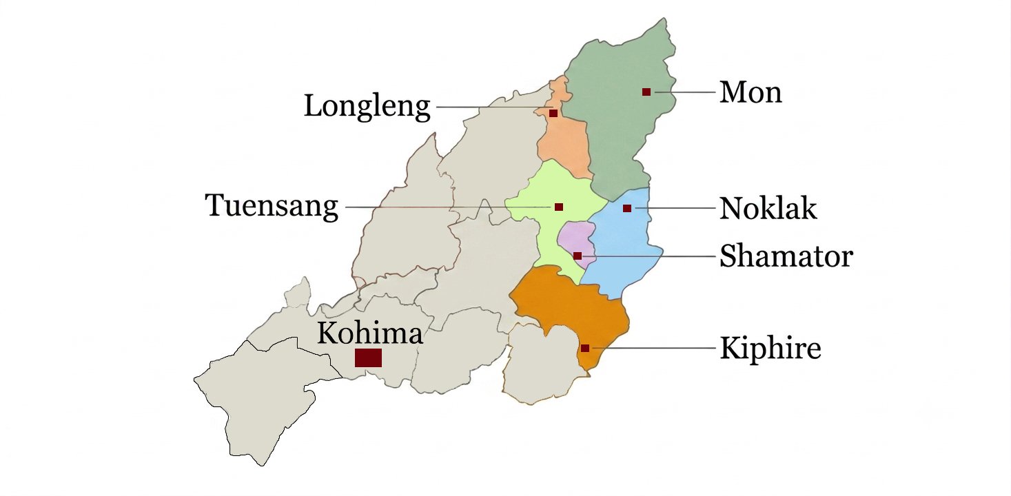 map fnta nagaland