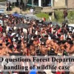 CCYO questions Forest Department’s handling of wildlife case