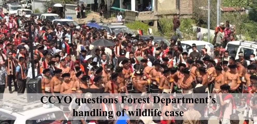 CCYO questions Forest Department’s handling of wildlife case