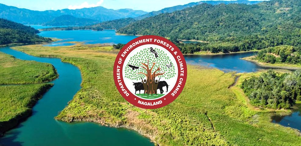 Doyang Wildlife Division reiterates ban on hunting, trade of wild animals