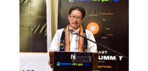 Nagaland pitches energy sector to investors, seeks faster implementation  of stalled projects